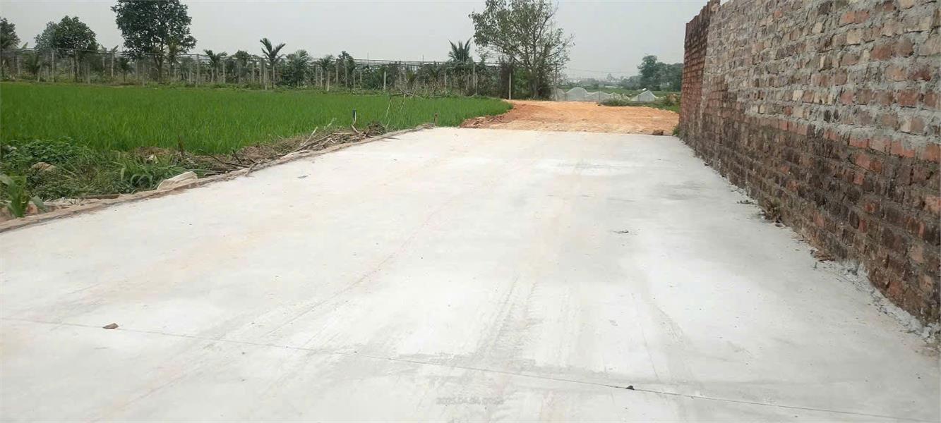 Lô góc siêu đẹp tại Hiền NINH sát bìa đồng cực thoáng giá chỉ 2x mầm non - Ảnh 1