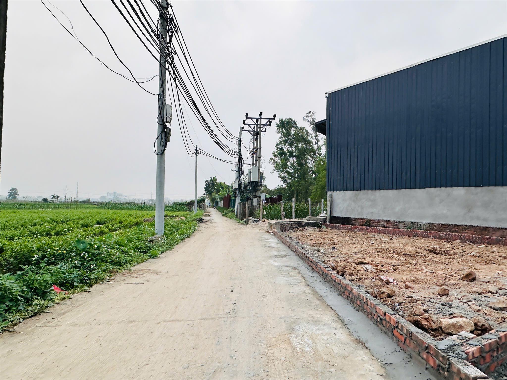 CẦN BÁN LÔ GÓC SIÊU ĐẸP 80M² TẠI DƯỢC HẠ - TIÊN DƯỢC - SÓC SƠN giá hơn 2 tỷ ô tô nằm ngủ trong nhà - Ảnh 4