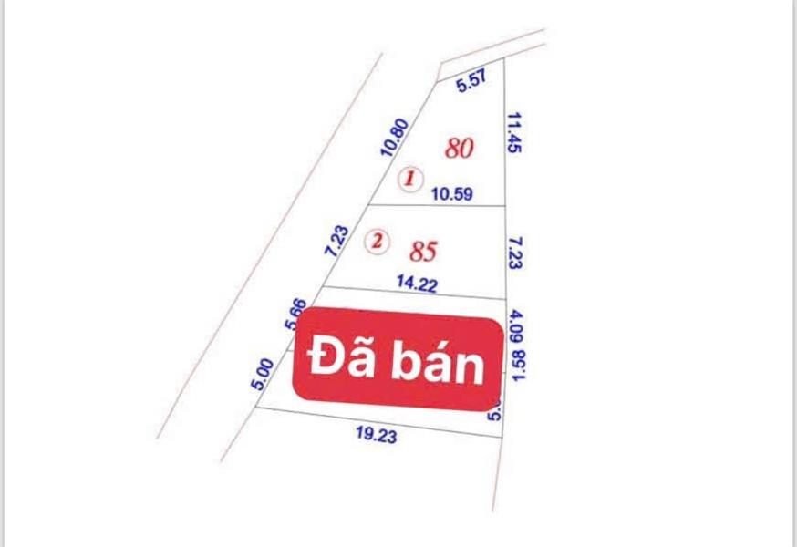 CẦN BÁN LÔ GÓC SIÊU ĐẸP 80M² TẠI DƯỢC HẠ - TIÊN DƯỢC - SÓC SƠN giá hơn 2 tỷ ô tô nằm ngủ trong nhà - Ảnh 2