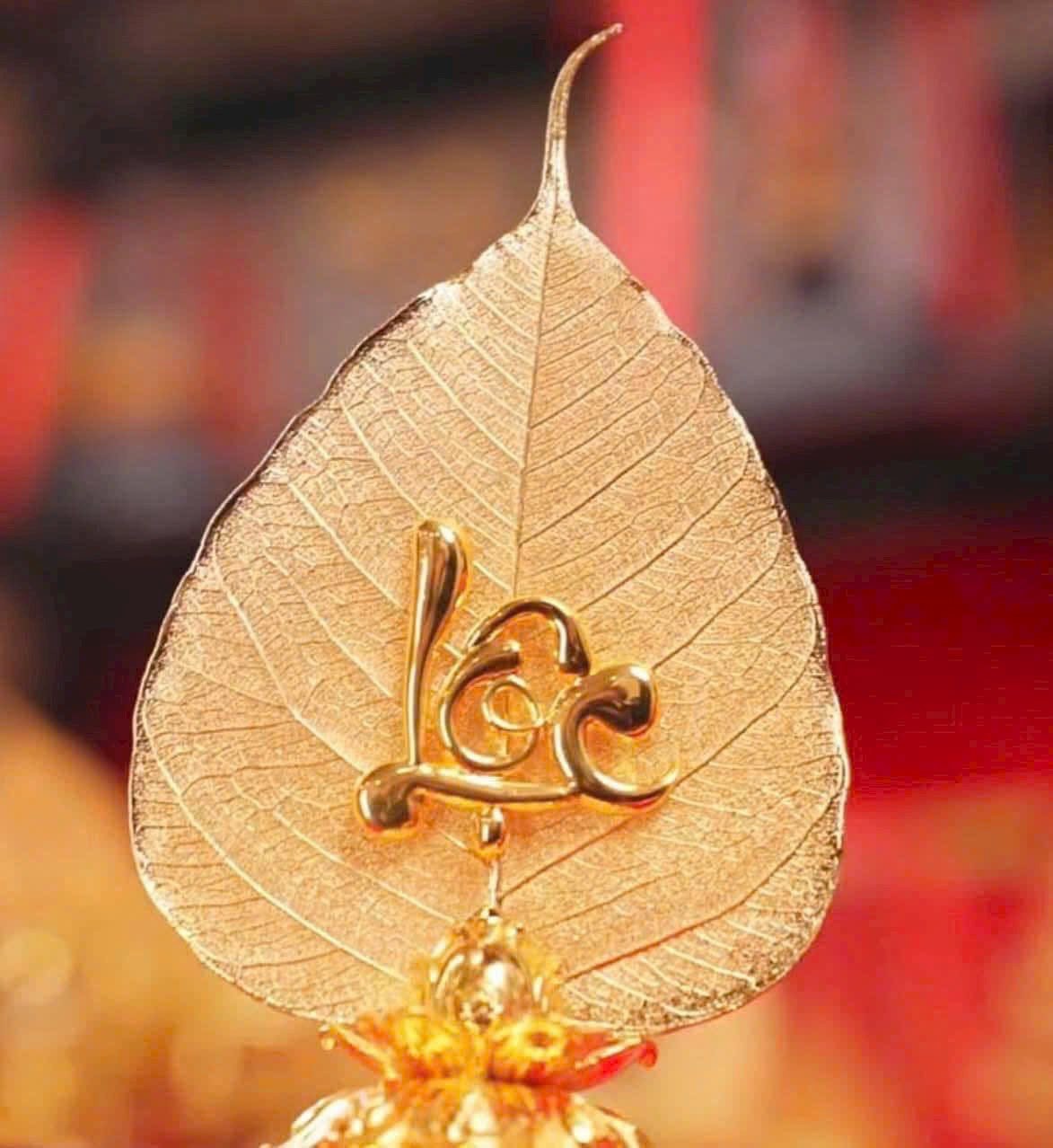 4❌16M, BÁN NHÀ 5 TẦNG, QUANG TRUNG,HXH, P14 GÒ VẤP, NHỈNH 5 TỶ - Ảnh 3