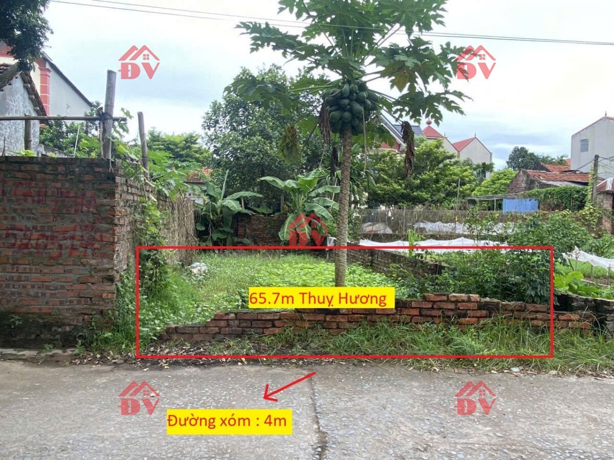 CHÍNH CHỦ BÁN LÔ ĐẤT 65,7M TẠI THỤY HƯƠNG-CHƯƠNG MỸ-HÀ NỘI - Ảnh chính