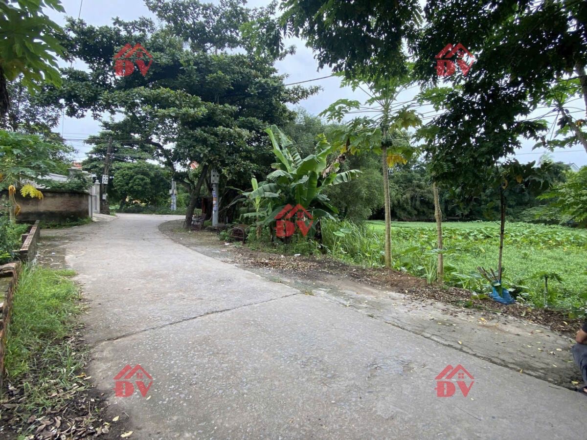 CHÍNH CHỦ BÁN LÔ ĐẤT 65,7M TẠI THỤY HƯƠNG-CHƯƠNG MỸ-HÀ NỘI - Ảnh 1
