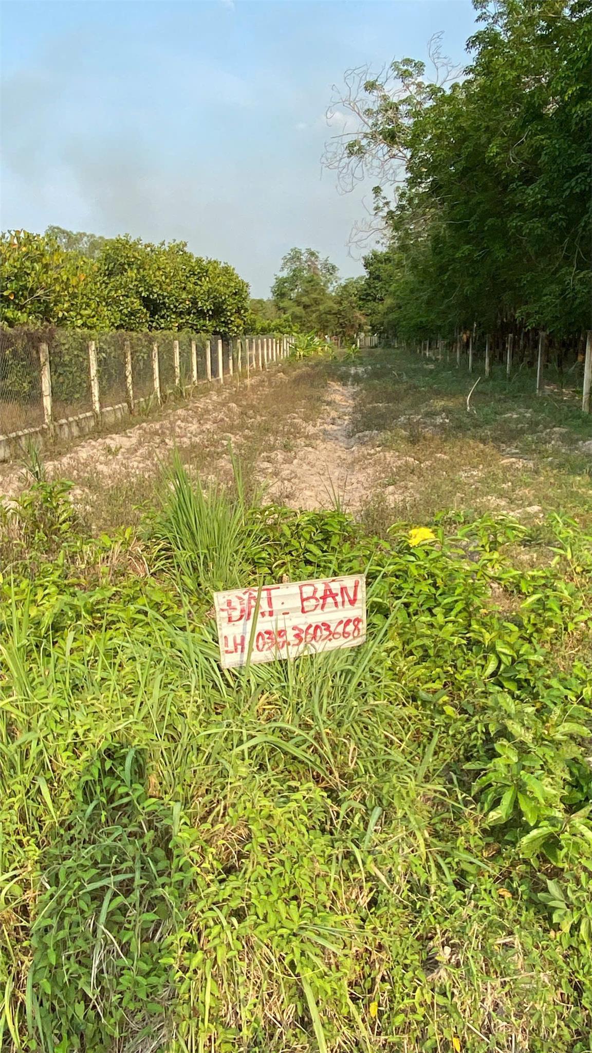 ĐẤT CHÍNH CHỦ - MẶT TIỀN Đường - Ấp Long Đại, Xã Long Vĩnh, Châu Thành - Tây Ninh - Ảnh 4