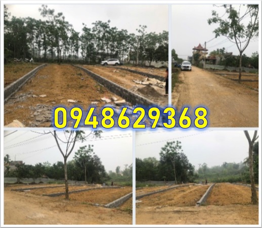 ⭐️Gửi tới anh chị và nhà đầu tư ba lô đất liền kề tại khu Bông Ruối, Hòa Thạch, Quốc Oai, Hà Nội - Ảnh chính