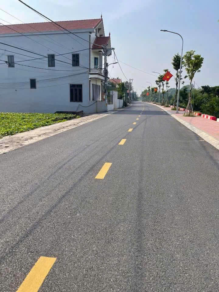 Biệt thự nhà vườn Thôn 2, Vạn Phúc, Thanh Trì 297m2. Giá 19.3 tỷ - Ảnh 3