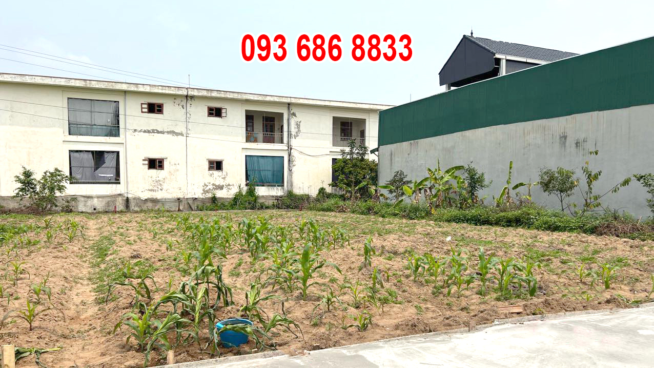Hà Nội - Đã đầu tư thì phải rước ngay bộ đôi đất đấu giá này - Ảnh chính