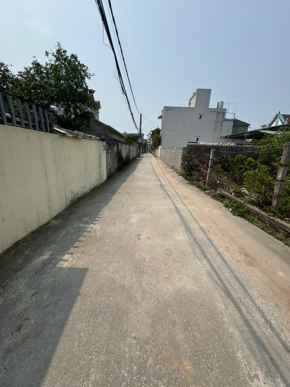Cần bán mảnh đất 127,1m2 tại đặc khu kinh tế Vân Đồn - Ảnh 3