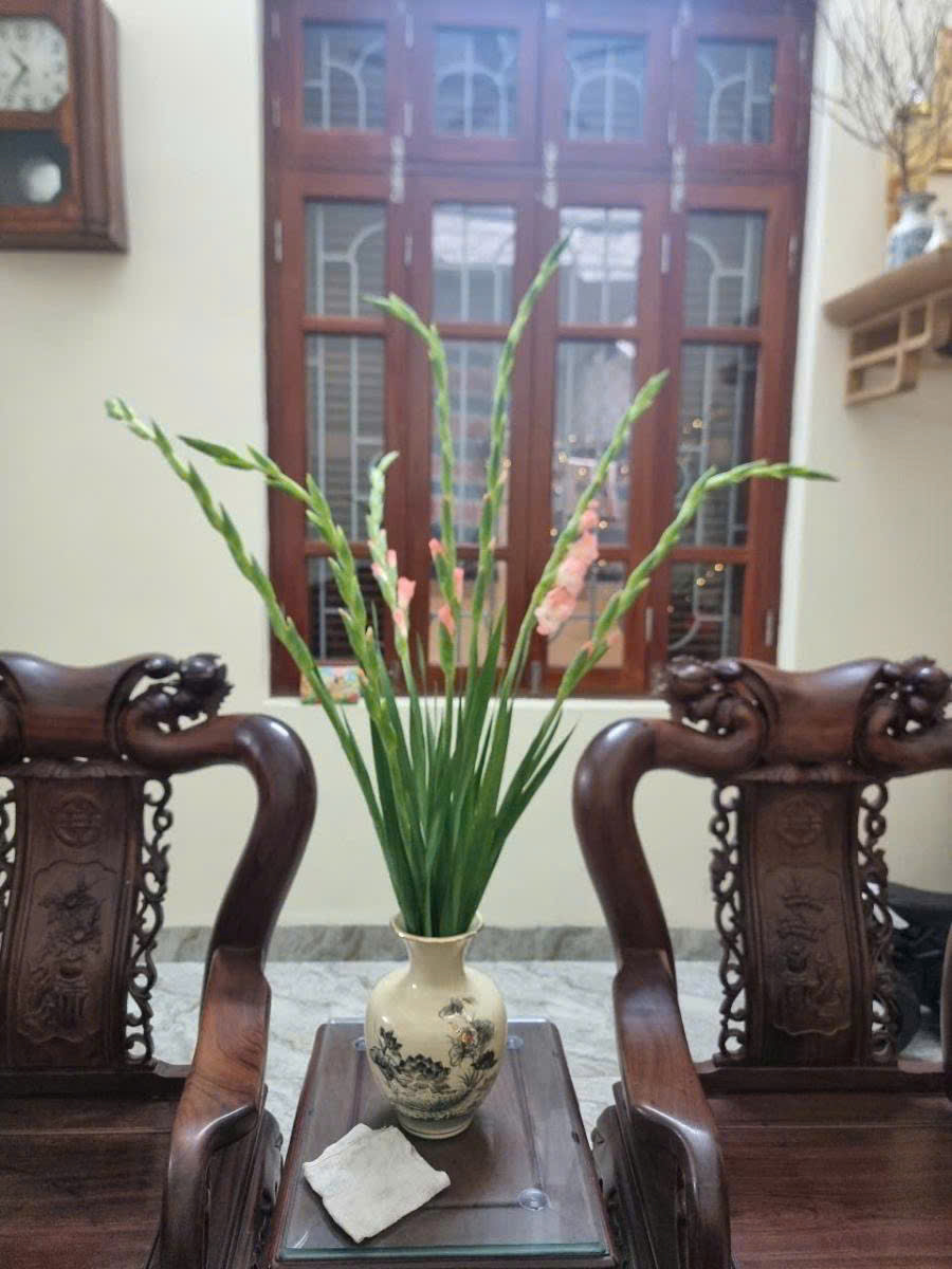 TÔN THẤT TÙNG💎 ĐỐNG ĐA💎 58M2 x 3T💎 MT 5.4M💎 12.2 TỶ💎 2 MẶT NGÕ💎 NỞ HẬU💎 GẦN PHỐ - Ảnh 2