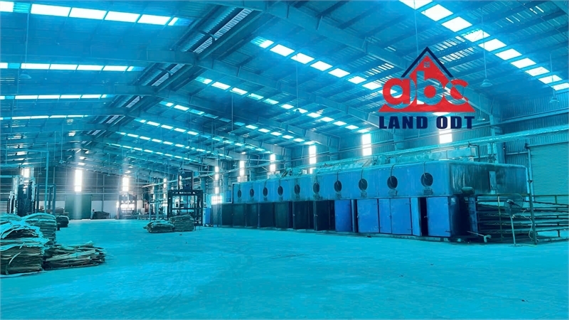 XT066 10.000m2 nhà xưởng cho thuê bàn giao đi vô sản xuất liền, tiếp nhận đa dạng ngành nghề - Ảnh 1