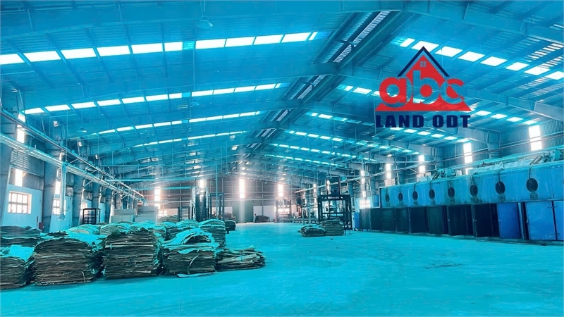 XT066 10.000m2 nhà xưởng cho thuê bàn giao đi vô sản xuất liền, tiếp nhận đa dạng ngành nghề - Ảnh 4