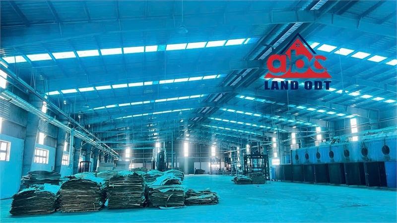 XT066 10.000m2 xưởng kiên cố, khung thép cao 8m. tiếp nhận sản xuất công nghệ cao - Ảnh 3