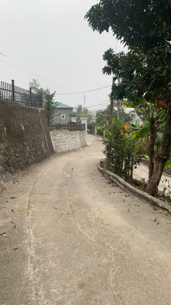 ĐẤT CHÍNH CHỦ - GIÁ TỐT - Cần Bán Gấp Đất Cẩm Thịnh, Cẩm Phả ,Quảng Ninh (sau trạm thu phí cọc 7) - Ảnh 3