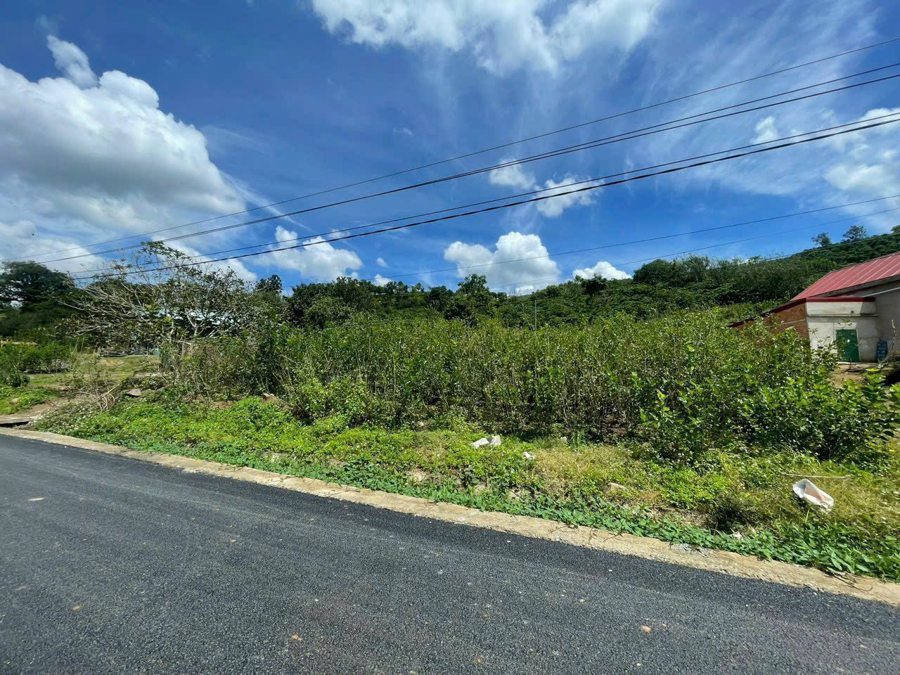 Đất đẹp- giá tốt chính chủ cần bán nhanh lô đất vị trí tại huyện Lâm Hà, tỉnh Lâm Đồng - Ảnh 3