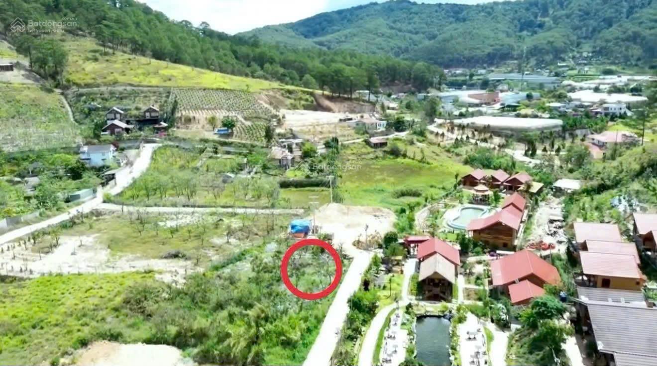 Lô đất 500M2 Full Thổ Cư 2 mặt tiền Betong, Đẹp Nhất Ngay Châb Núi Voi, Khu Biệt Thự SG! - Ảnh chính