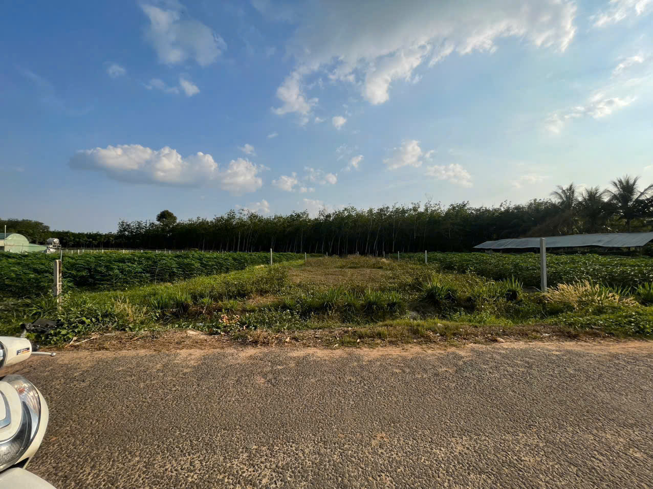 Bán gấp đất tại Suối ông đình, Trà Vong, Tân Biên, Tây Ninh, 560 triệu, 890 m2 - Ảnh 3