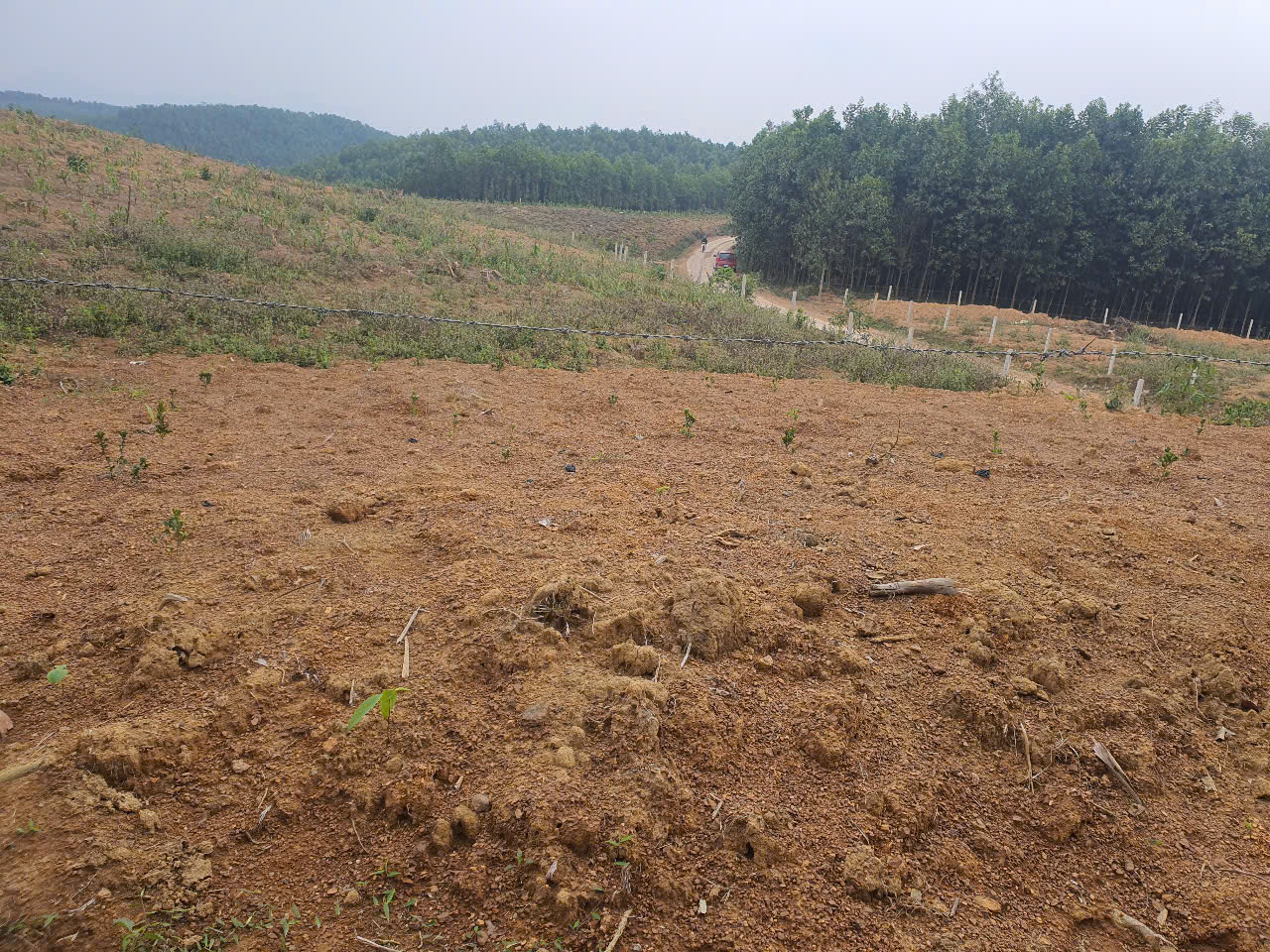 ĐẤT RỪNG ĐẸP - GIÁ TỐT - Vị Trí Đắc Địa Tại Xóm Hồng, Xã Bảo Hiệu, Huyện Yên Thủy, Tỉnh Hoà Bình - Ảnh 1