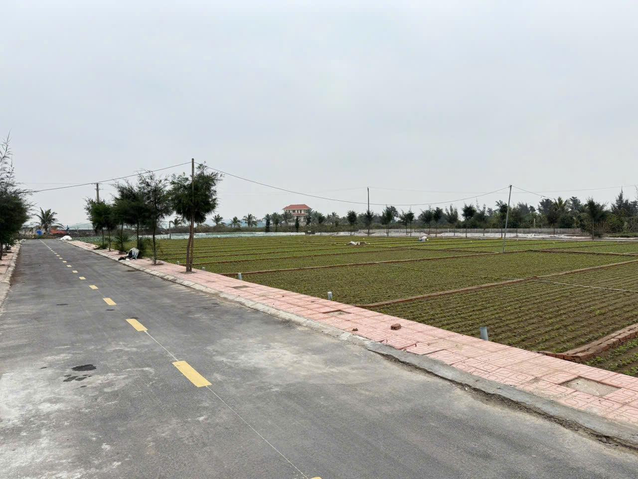 - 0975390519 - Bán 88m2 đất biển, full cư, gần khu nghỉ dưỡng Flamigo, cách biển 100m. Gía 1,2 tỷ. - Ảnh 2