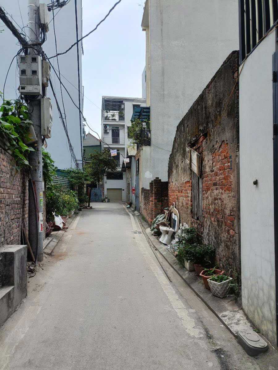 BÁN ĐẤT - NGÕ 161 ĐƯỜNG BÁT KHỐI-DIỆN TÍCH 53M2-GIÁ 7,9 TỶ - Ảnh 3