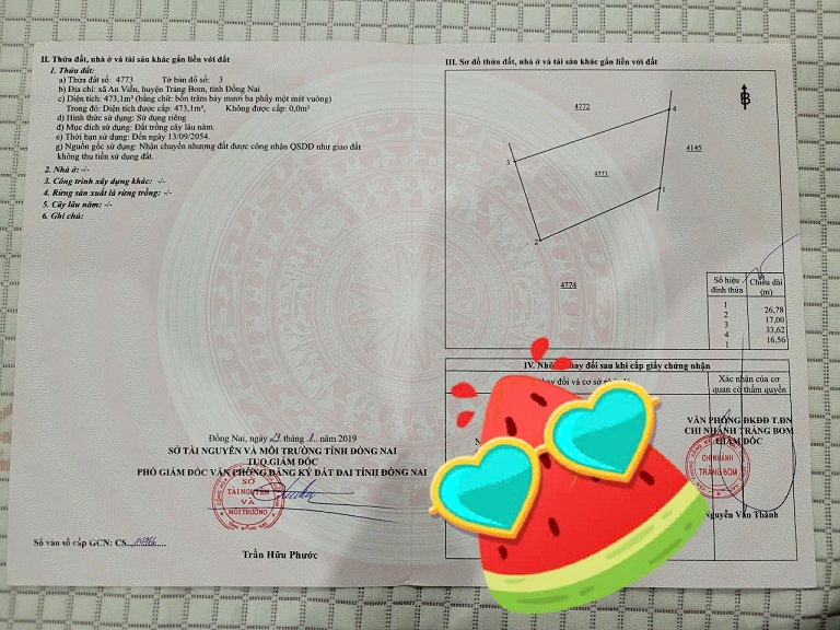 CHÍNH CHỦ CẦN BÁN GẤP LÔ ĐẤT ĐẸP – TIỀM NĂNG TĂNG GIÁ MẠNH TẠI TRẢNG BOM, ĐỒNG NAI - Ảnh 1
