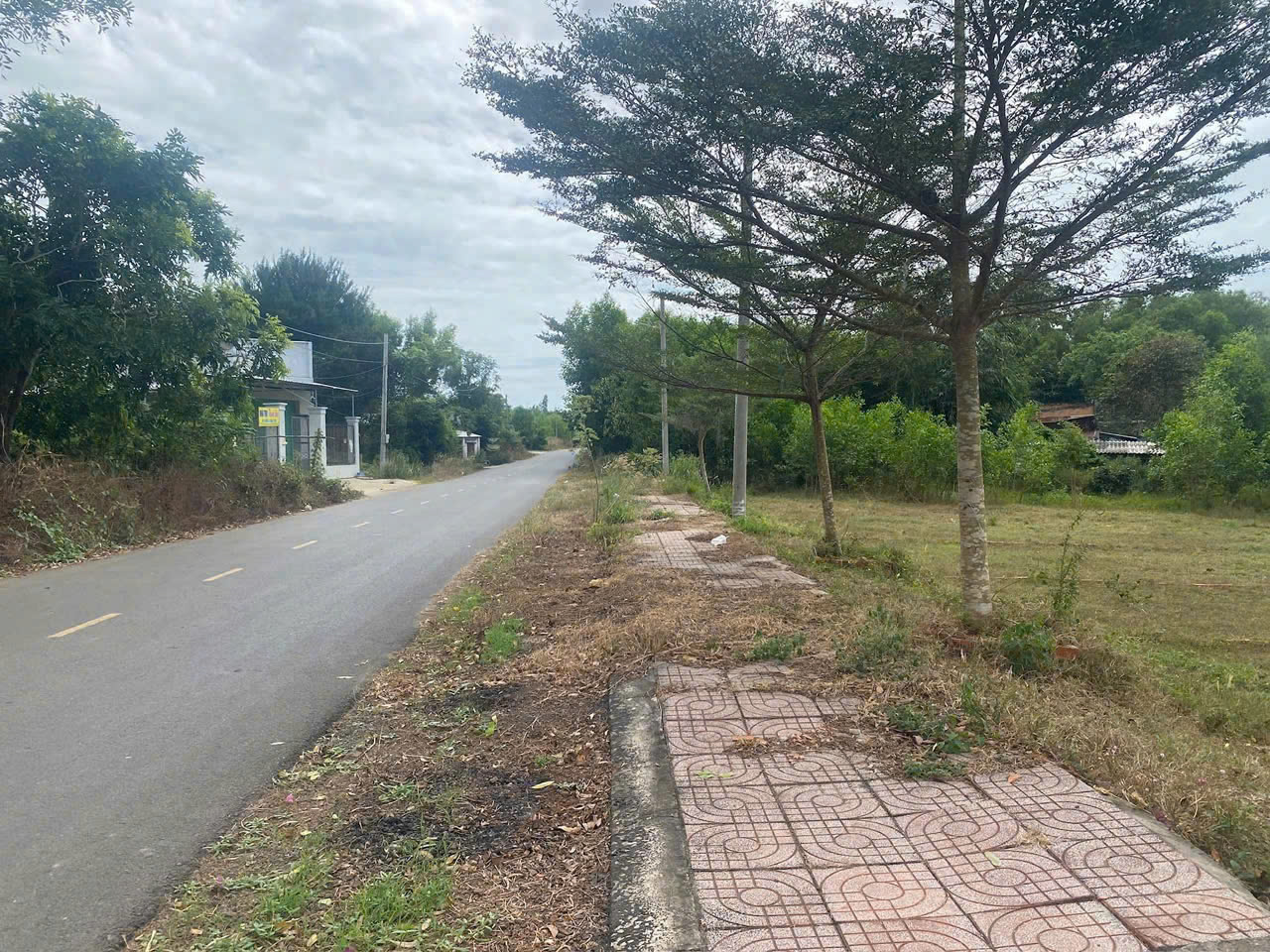CHÍNH CHỦ CẦN BÁN LÔ ĐẤT TẠI XÃ PHƯỚC THUẬN - H. XUYÊN MỘC - HỒ TRÀM - BÀ RỊA VŨNG TÀU. - Ảnh 4