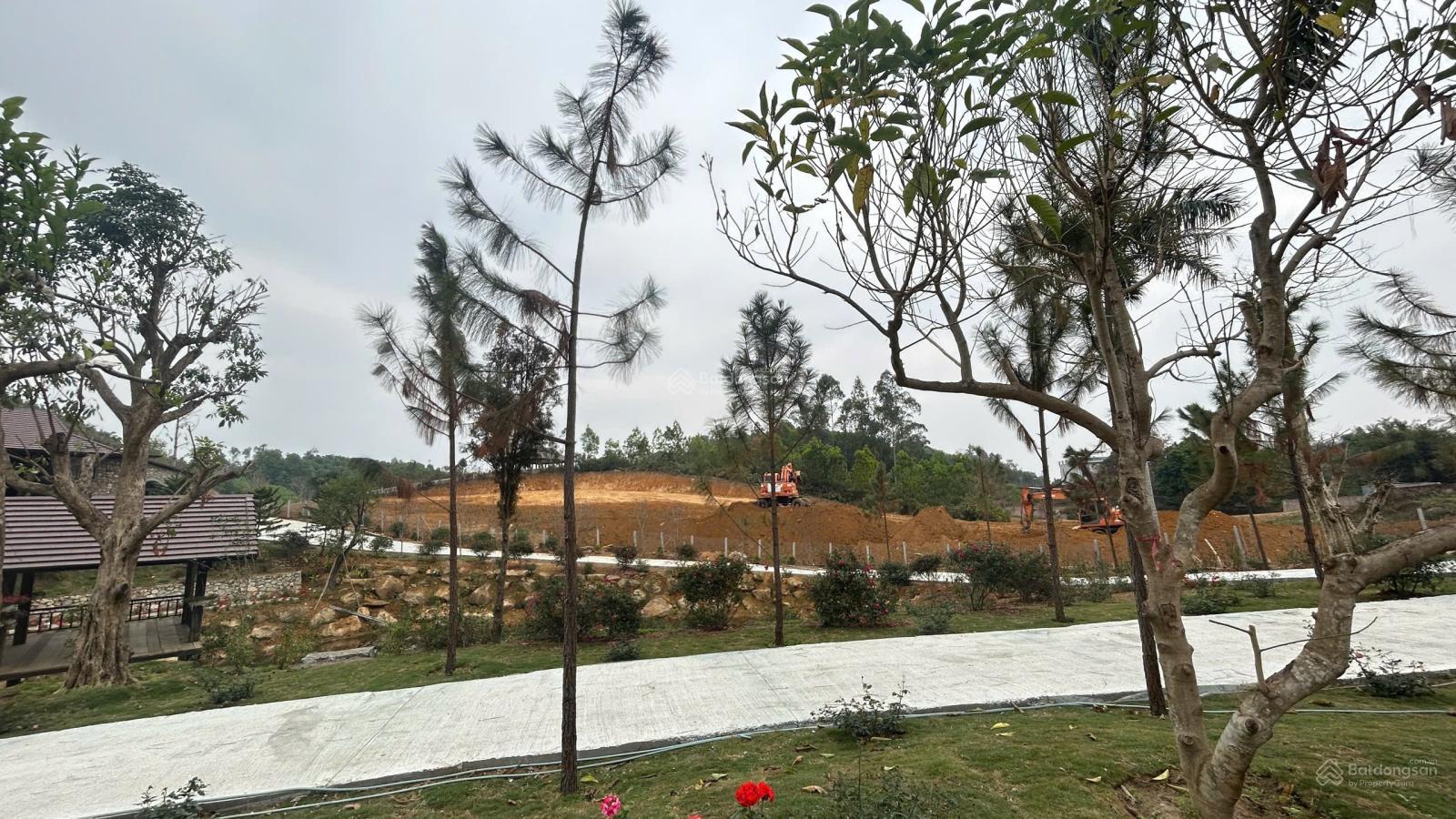 Bán đất Tiến Xuân giáp Xanh Villas Hòa Lạc, 25 triệu VND, 300m2, view đẹp, Thạch Thất, Hà Nội - Ảnh 3