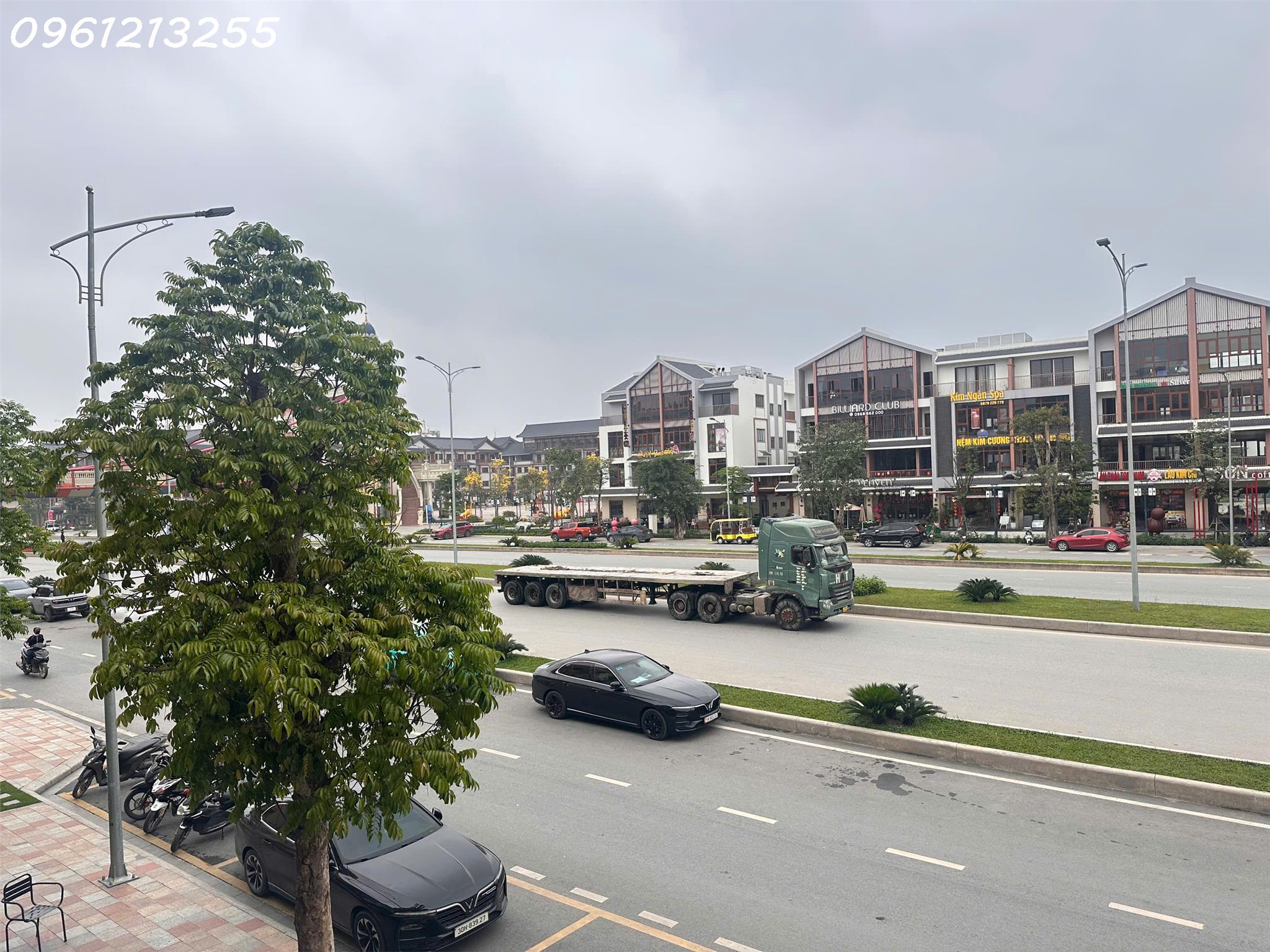 Bán gấp Shophouse tại Mega Grand World Hà Nội, 16,5 tỷ, 284,6m2 - Ảnh 3