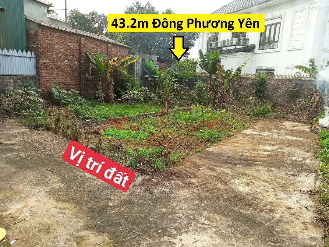 CHÍNH CHỦ BÁN LÔ ĐẤT 43,2M TẠI ĐÔNG PHƯƠNG YÊN-CHƯƠNG MỸ-HÀ NỘI - Ảnh chính