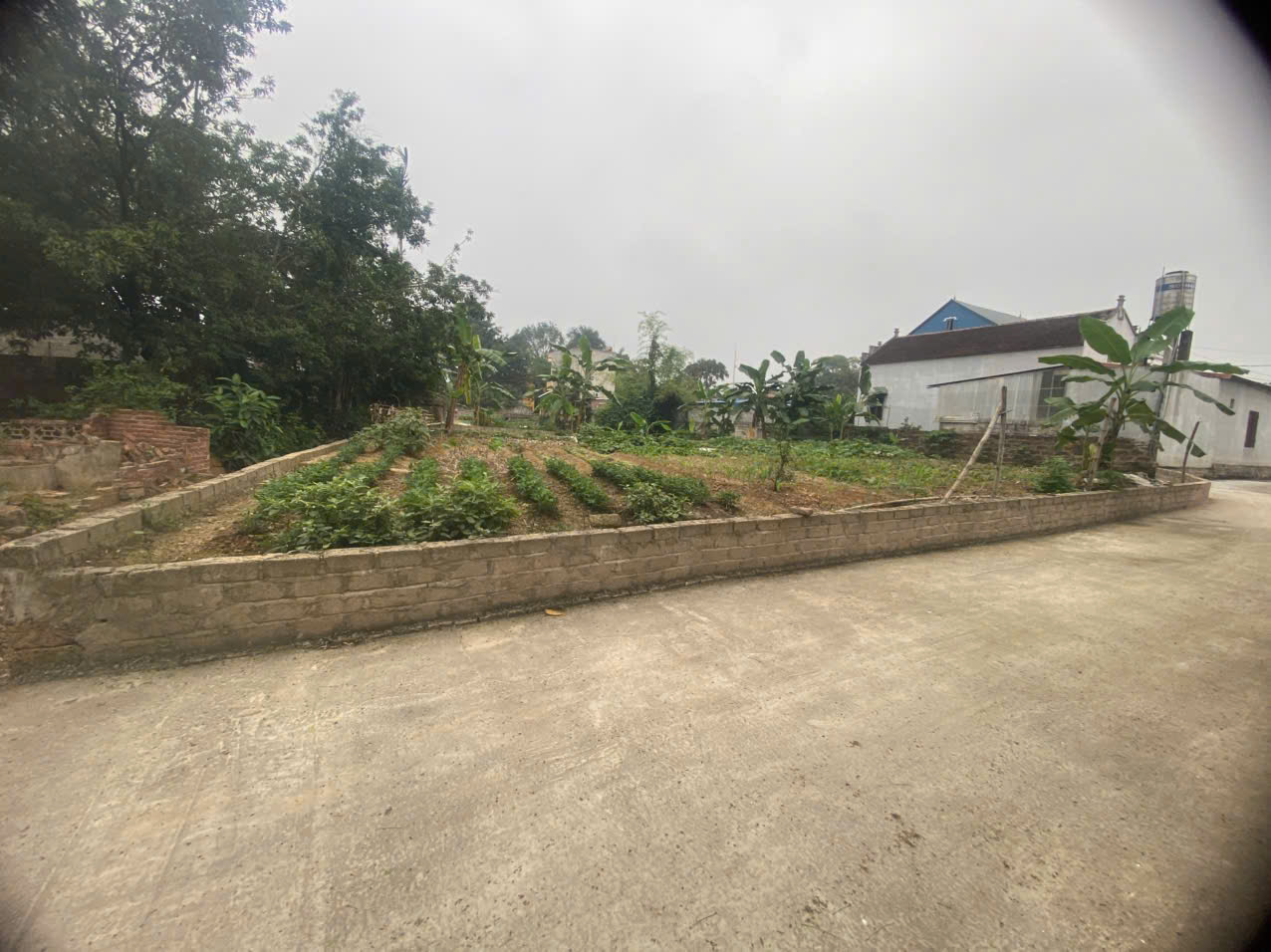 CHÍNH CHỦ BÁN 3LÔ ĐẤT TẠI NAM PHƯƠNG TIẾN-CHƯƠNG MỸ-HÀ NỘI - Ảnh 2