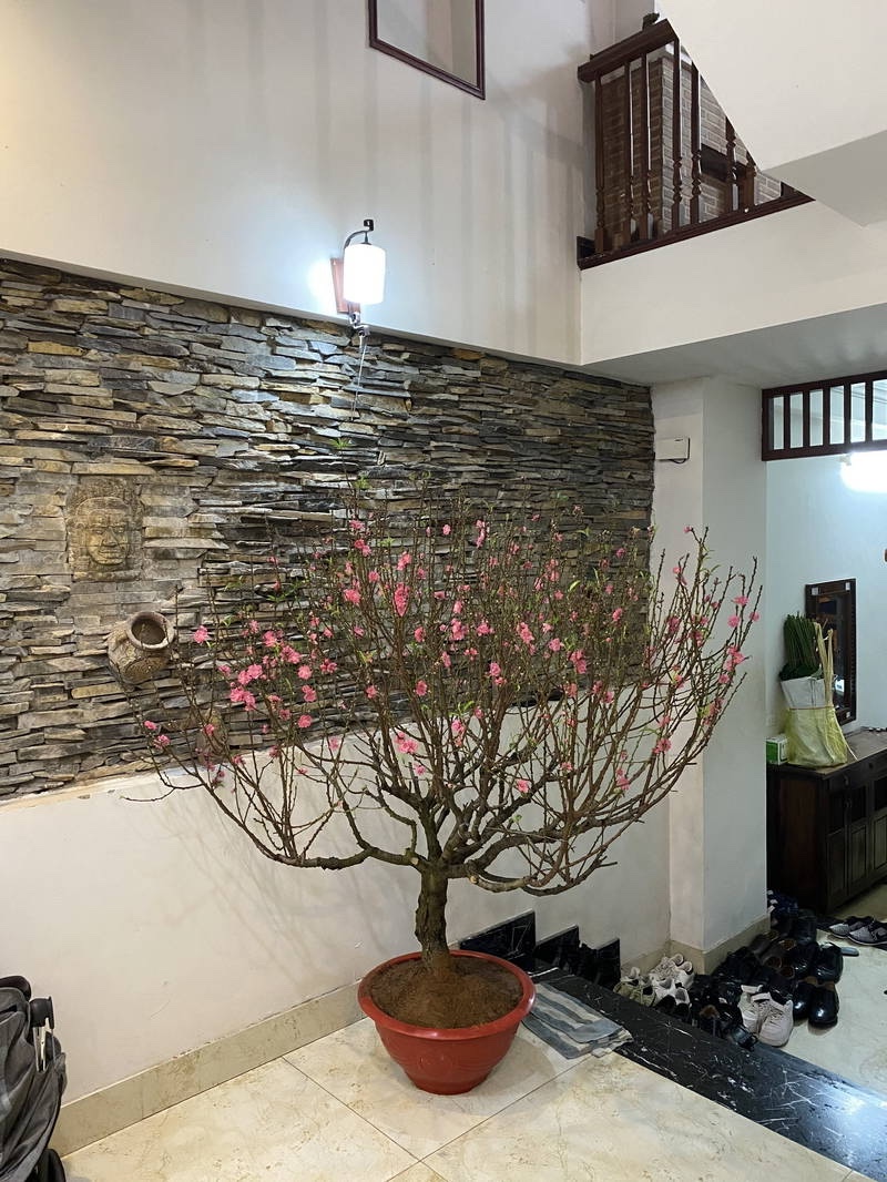 Nhà 62m2 Mạc Thị Bưởi 15 tỷ, oto đỗ cửa, kinh doanh, nhà 4 tầng mới - Ảnh 2