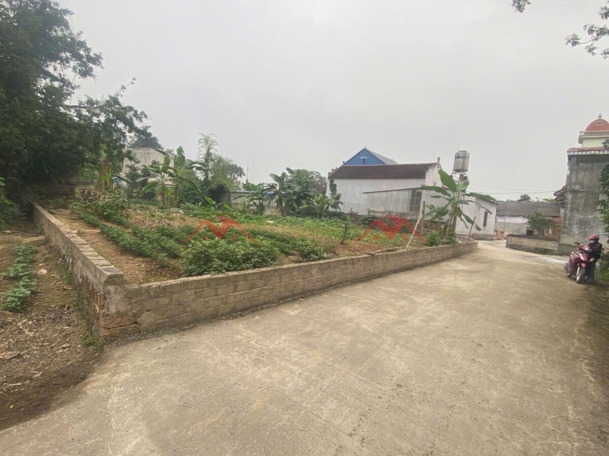 CHÍNH CHỦ BÁN LÔ ĐẤT 84,5M TẠI NAM PHƯƠNG TIẾN-CHƯƠNG MỸ-HÀ NỘI - Ảnh 4