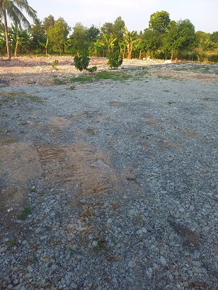Chính chủ cho thuê mặt bằng 2000m2 tại khu phố Hoà Long, Lái Thiêu, TP Thuận An. - Ảnh chính
