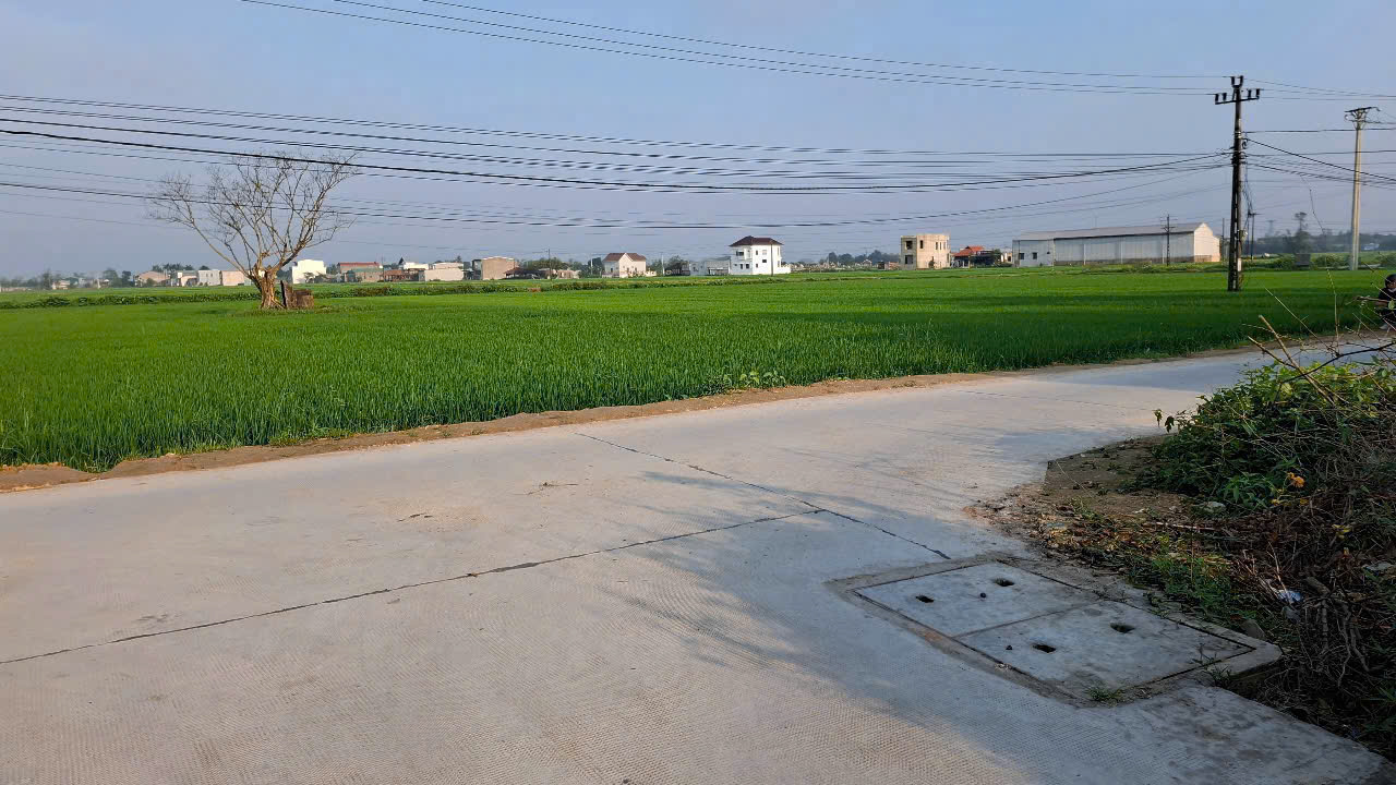 🏡 BÁN ĐẤT GIÁ RẺ PHƯỜNG DƯƠNG NỔ – CÁCH CHỢ MAI CHỈ 2.5KM - Ảnh chính