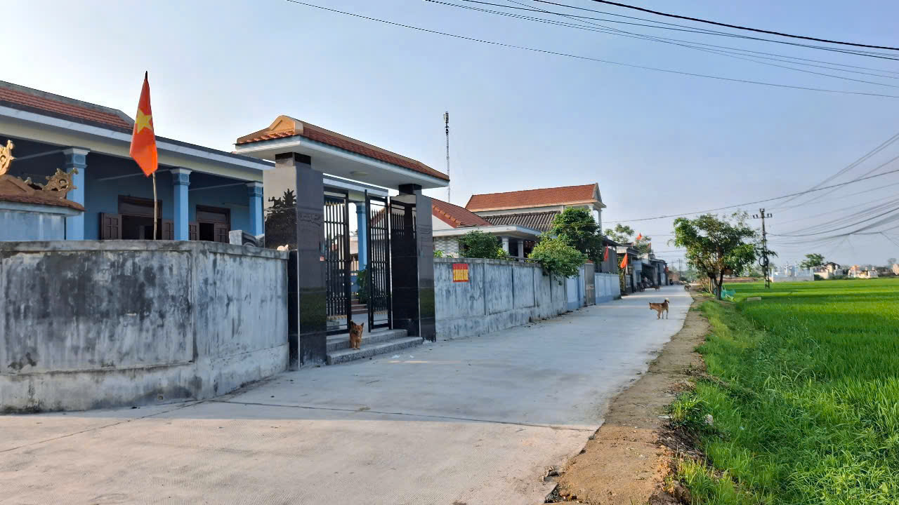 🏡 BÁN ĐẤT GIÁ RẺ PHƯỜNG DƯƠNG NỔ – CÁCH CHỢ MAI CHỈ 2.5KM - Ảnh 3