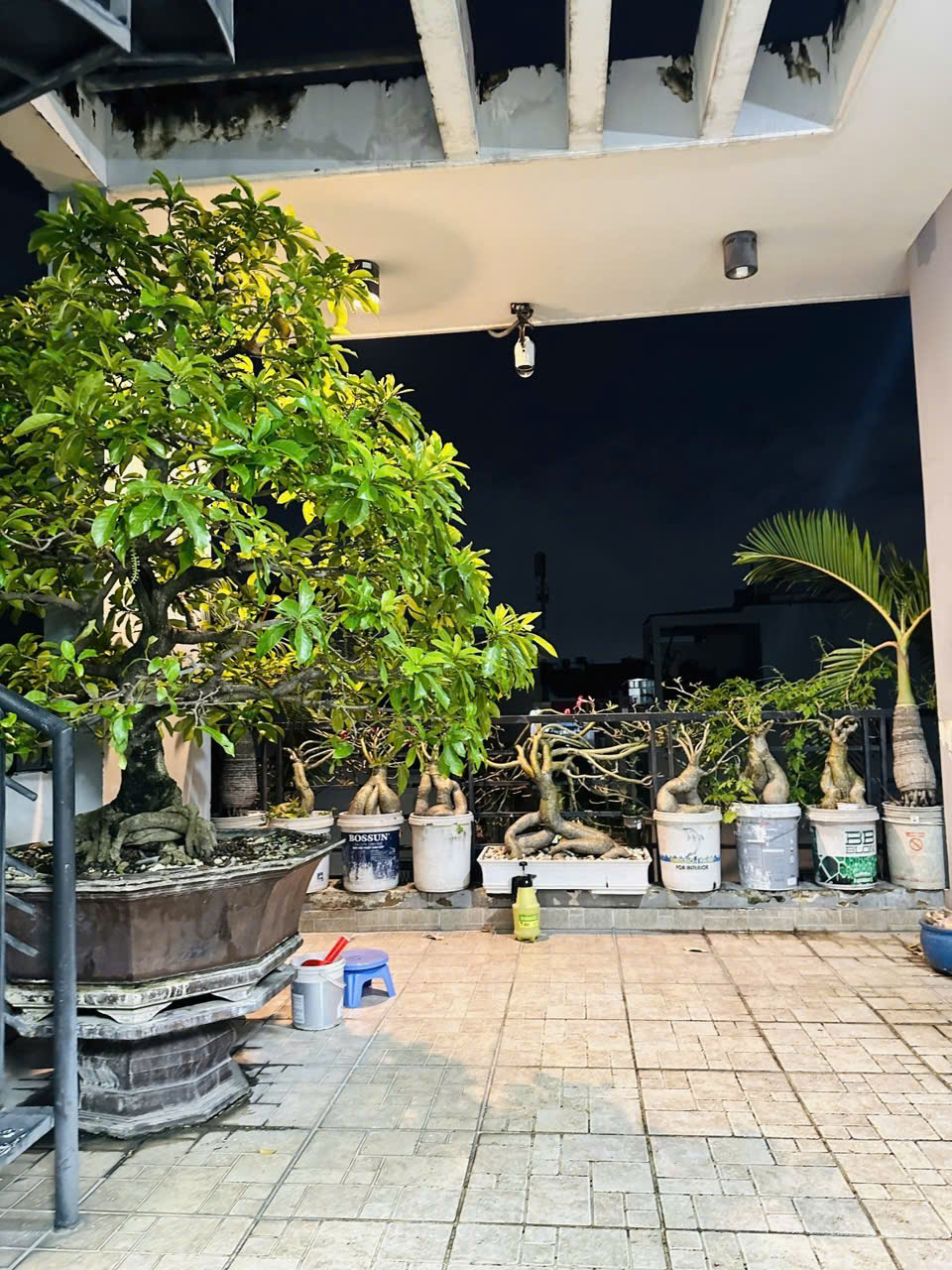 CHỦ GẤP BÁN  GIẢM 1 TỶ GIÁ MỚI 9 TỶ<br><br><br>MẶT TIỀN  83M2  4 TẦNG ĐÚC BTCT  HOÀN CÔNG ĐỦ 6PN ĐẶNG MINH - Ảnh chính