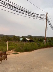 BÁN ĐẤT GIÁ TỐT – SỔ HỒNG RIÊNG - Ảnh 1