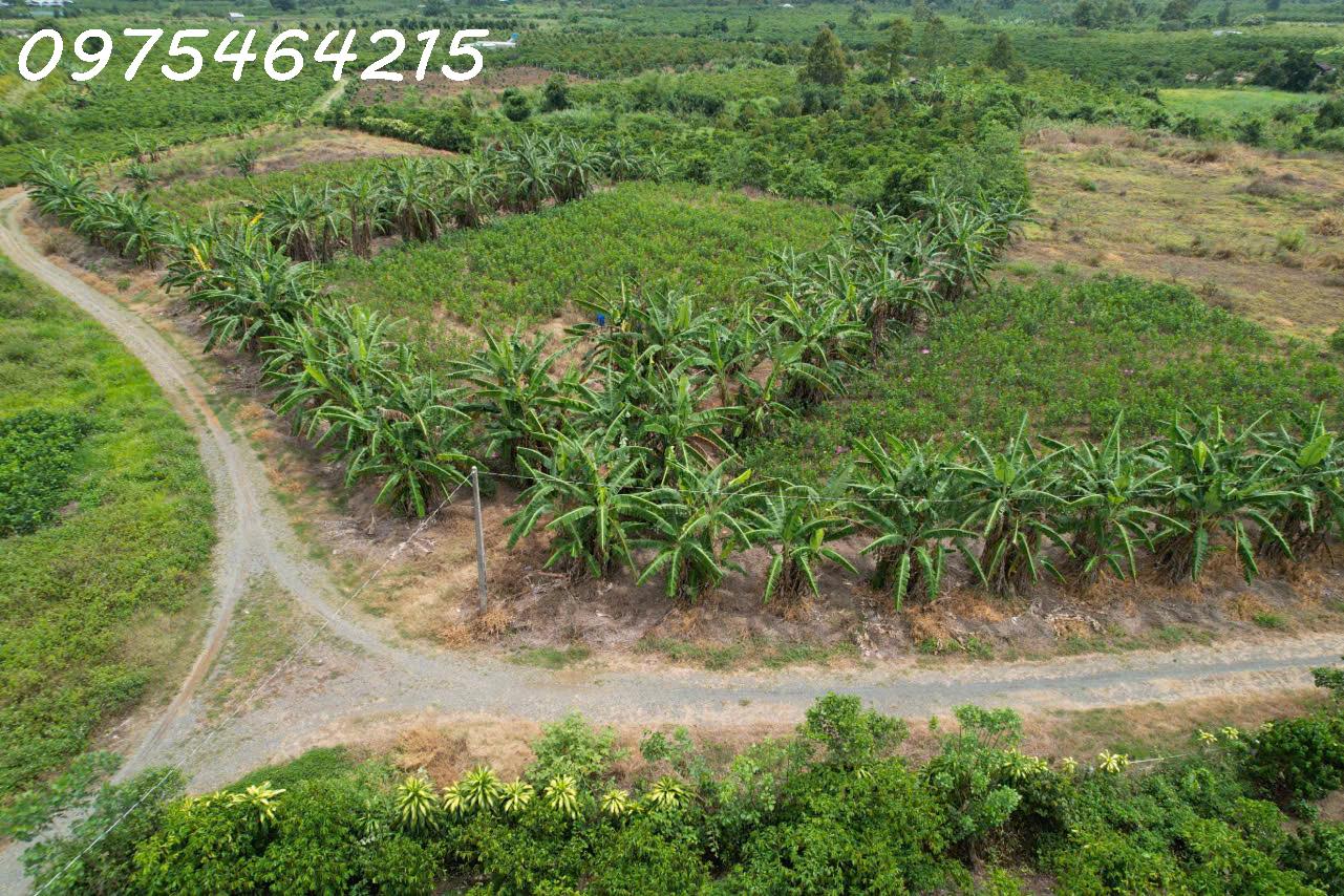 BÁN ĐẤT VIEW SÔNG – HẺM ĐƯỜNG ĐINH CÔNG TRÁNG, TP BẢO LỘC<br>📍 Xã Lộc Châu, TP Bảo Lộc, Tỉnh Lâm Đồng - Ảnh chính