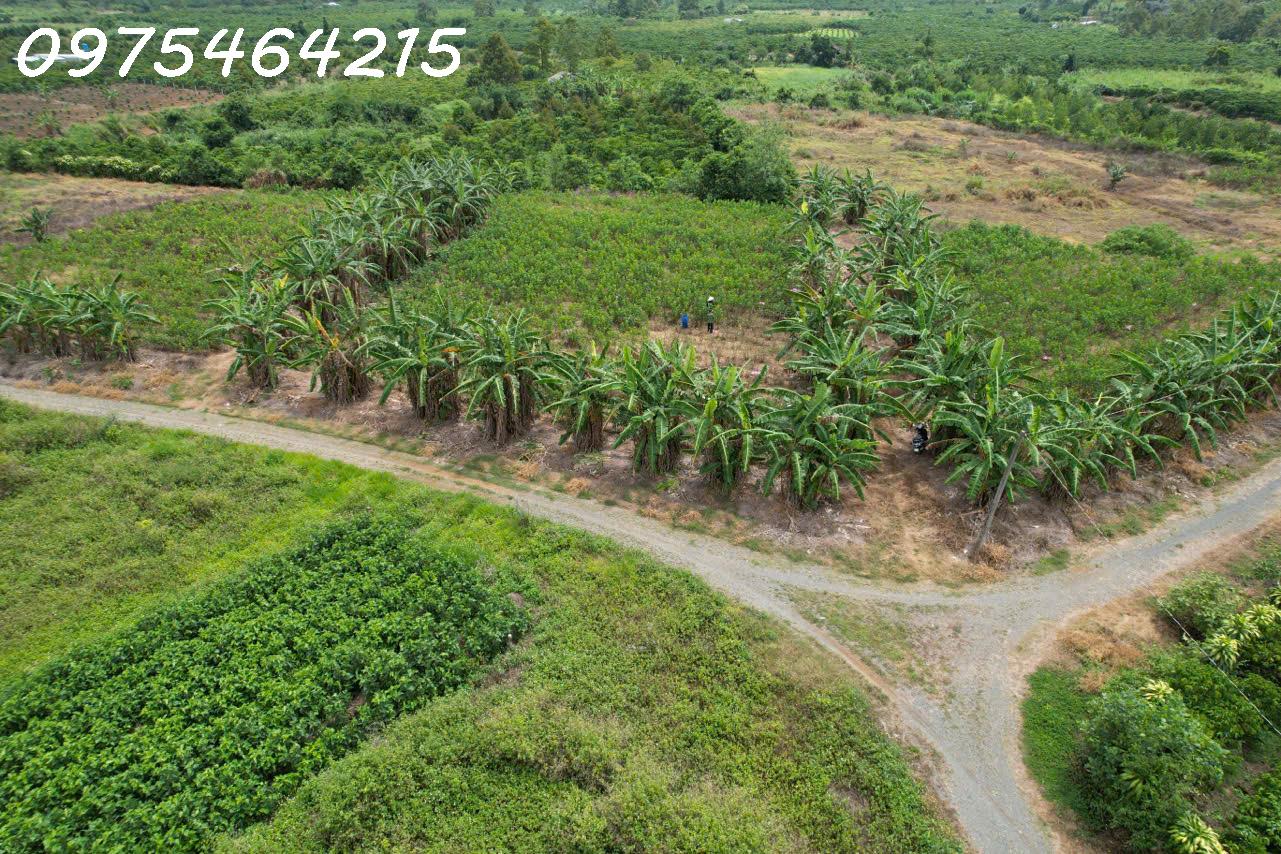BÁN ĐẤT VIEW SÔNG – HẺM ĐƯỜNG ĐINH CÔNG TRÁNG, TP BẢO LỘC<br>📍 Xã Lộc Châu, TP Bảo Lộc, Tỉnh Lâm Đồng - Ảnh 1