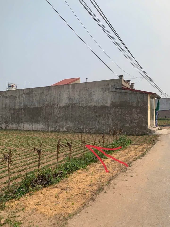 Chính chủ cần bán Nhanh Lô Đất Tại Thôn Tuy Lai – Xã Minh Khai – Huyện Hưng Hà – Thái Bình. - Ảnh chính