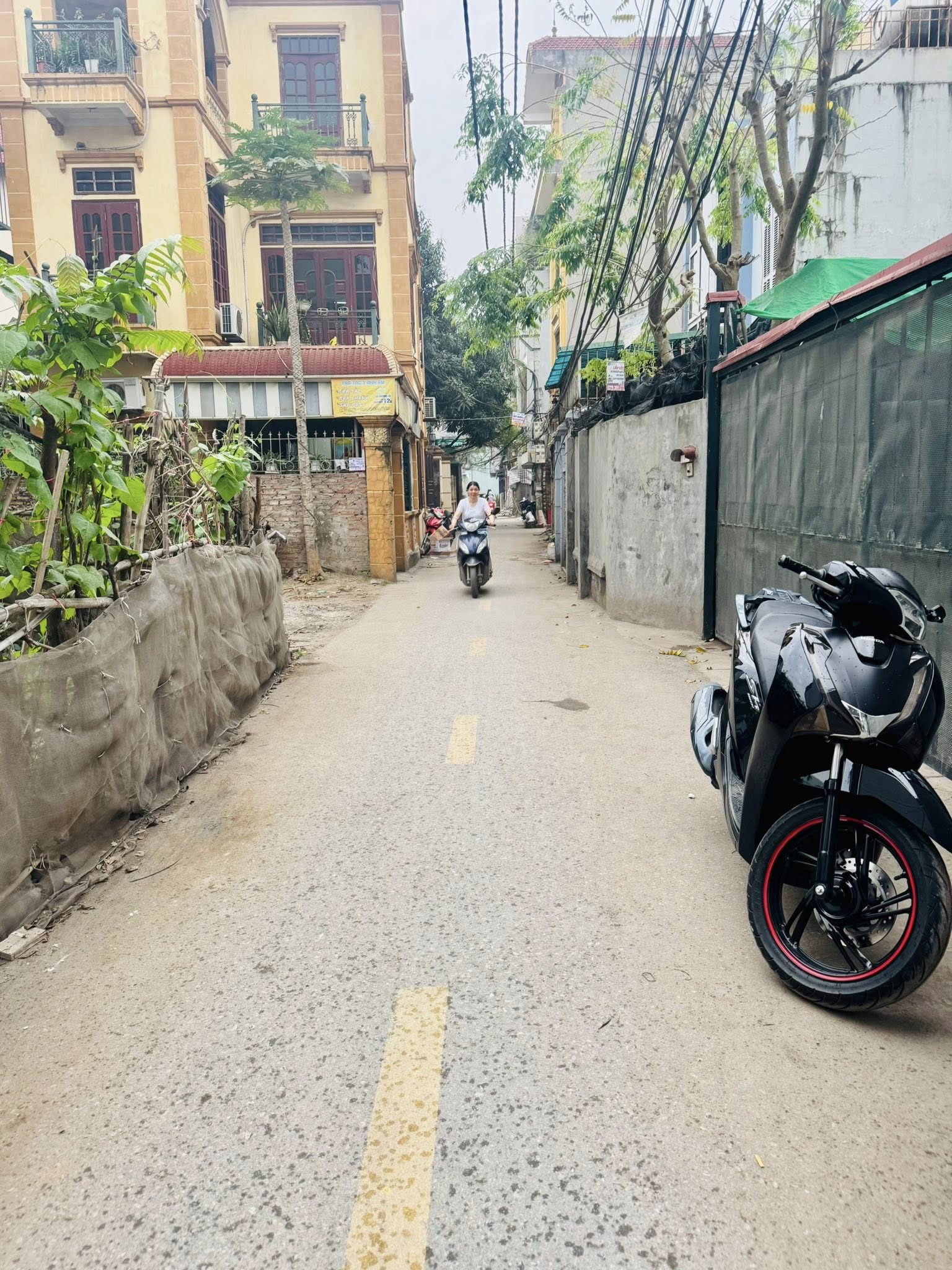 Thuý Lĩnh - Lĩnh Nam - Hoàng Mai - Ảnh 4