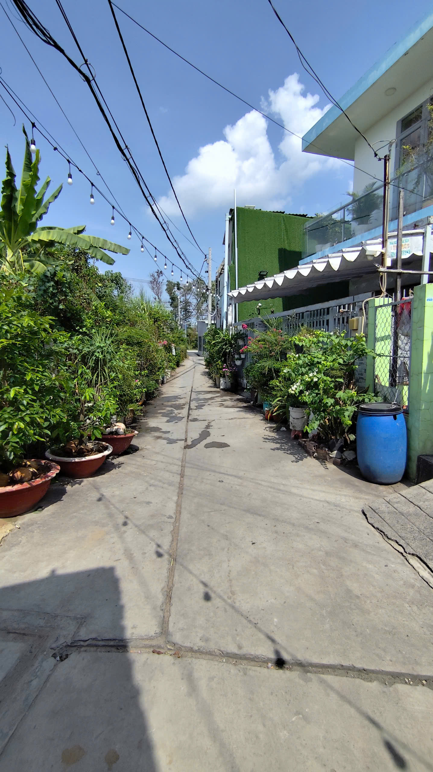 Hẻm Lê Tấn Bê Nhà cấp 4 kế bên dự Án AKARI chủ đầu tư Nam Long  130m2 , giá tốt - Ảnh 4