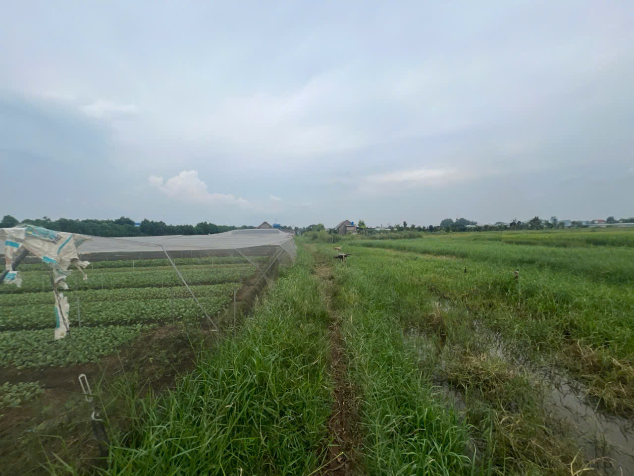 Chính chủ bán 8200m2 giá 2,5 triệu/m2 Xuân Thới Thượng 2, xã Xuân Thới Thượng, Hóc Môn - Ảnh 4