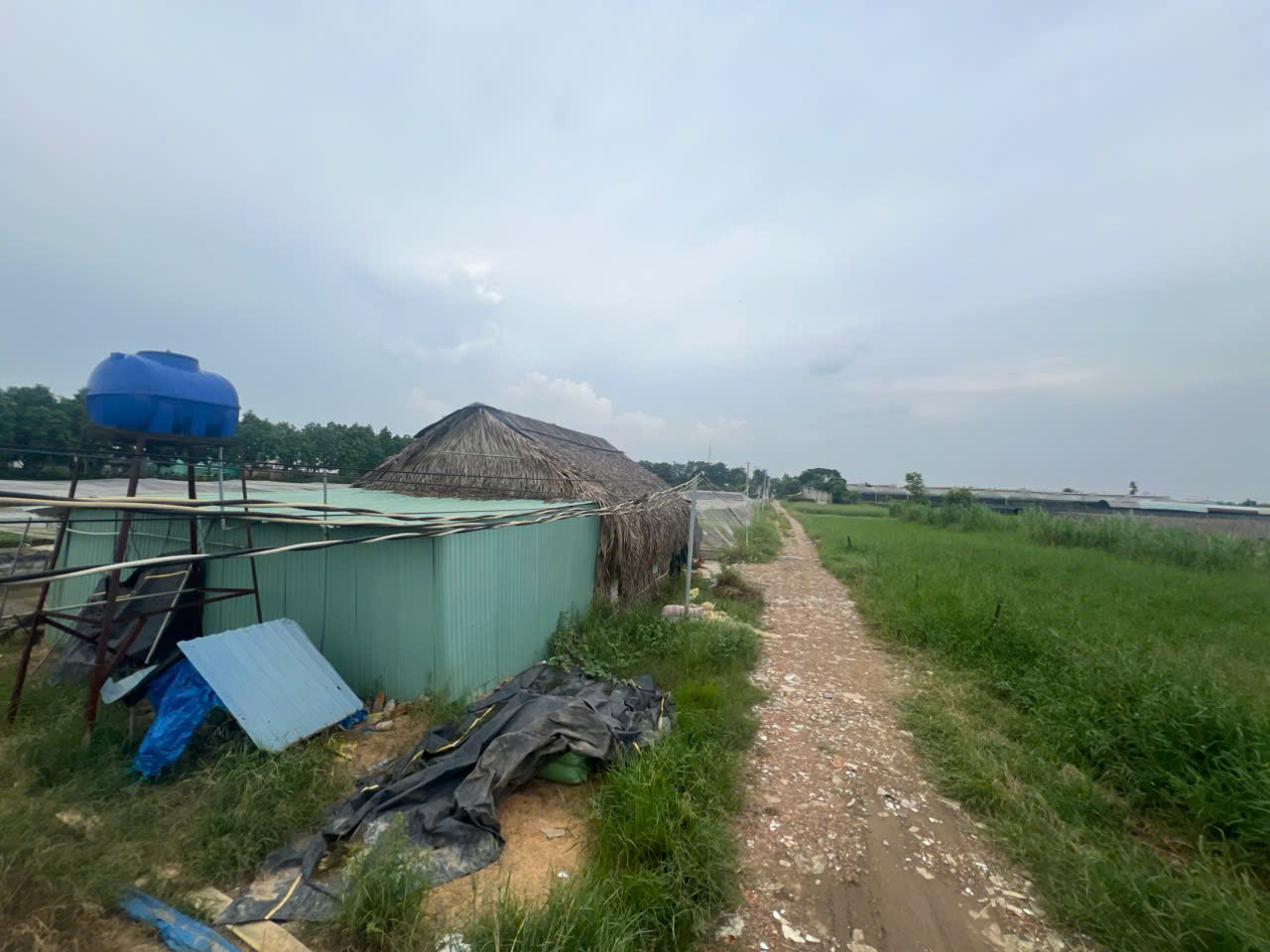 Chính chủ bán 8200m2 giá 2,5 triệu/m2 Xuân Thới Thượng 2, xã Xuân Thới Thượng, Hóc Môn - Ảnh 1