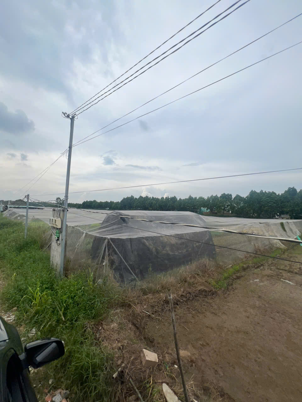 Chính chủ bán 8200m2 giá 2,5 triệu/m2 Xuân Thới Thượng 2, xã Xuân Thới Thượng, Hóc Môn - Ảnh 3