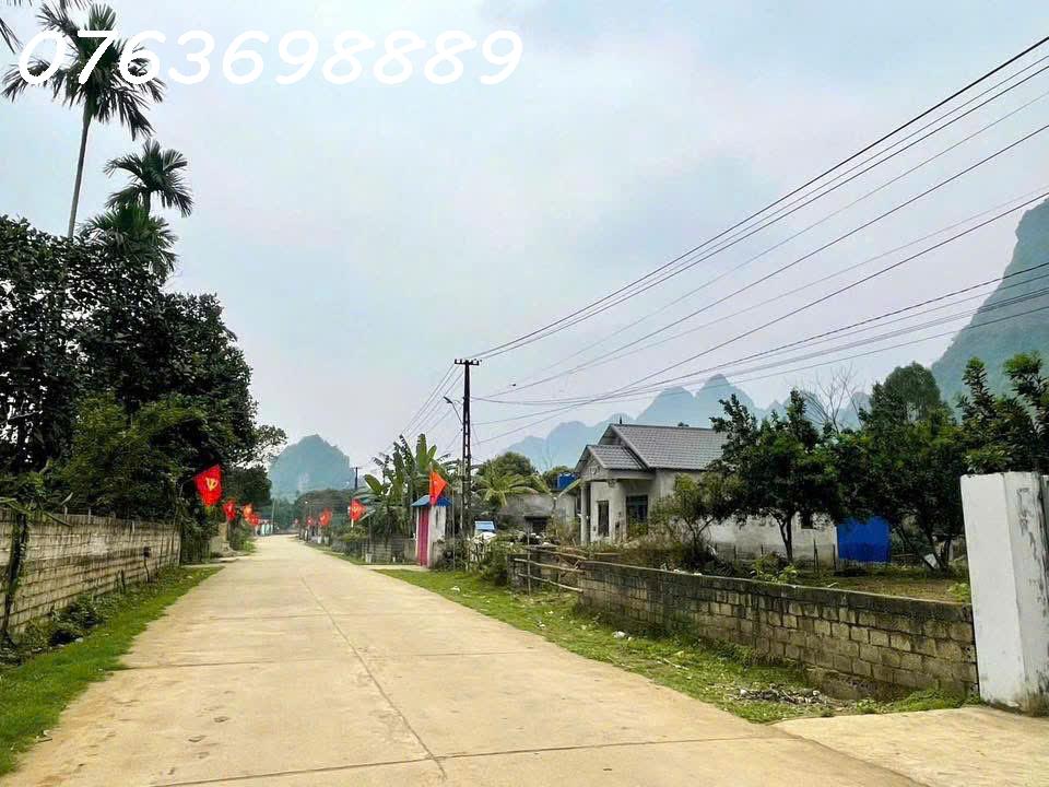 Đất hiếm tại Dẻ Cau, Thanh Sơn, Hoà Bình, về Hà Nội 40km - Ảnh 3
