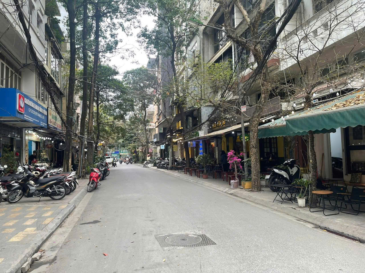 Bán nhà Hoàng Cầu phân lô ô tô tránh 30m ra phố, kinh doanh - 59m x 5 tầng giá 25,5 tỷ - Ảnh chính