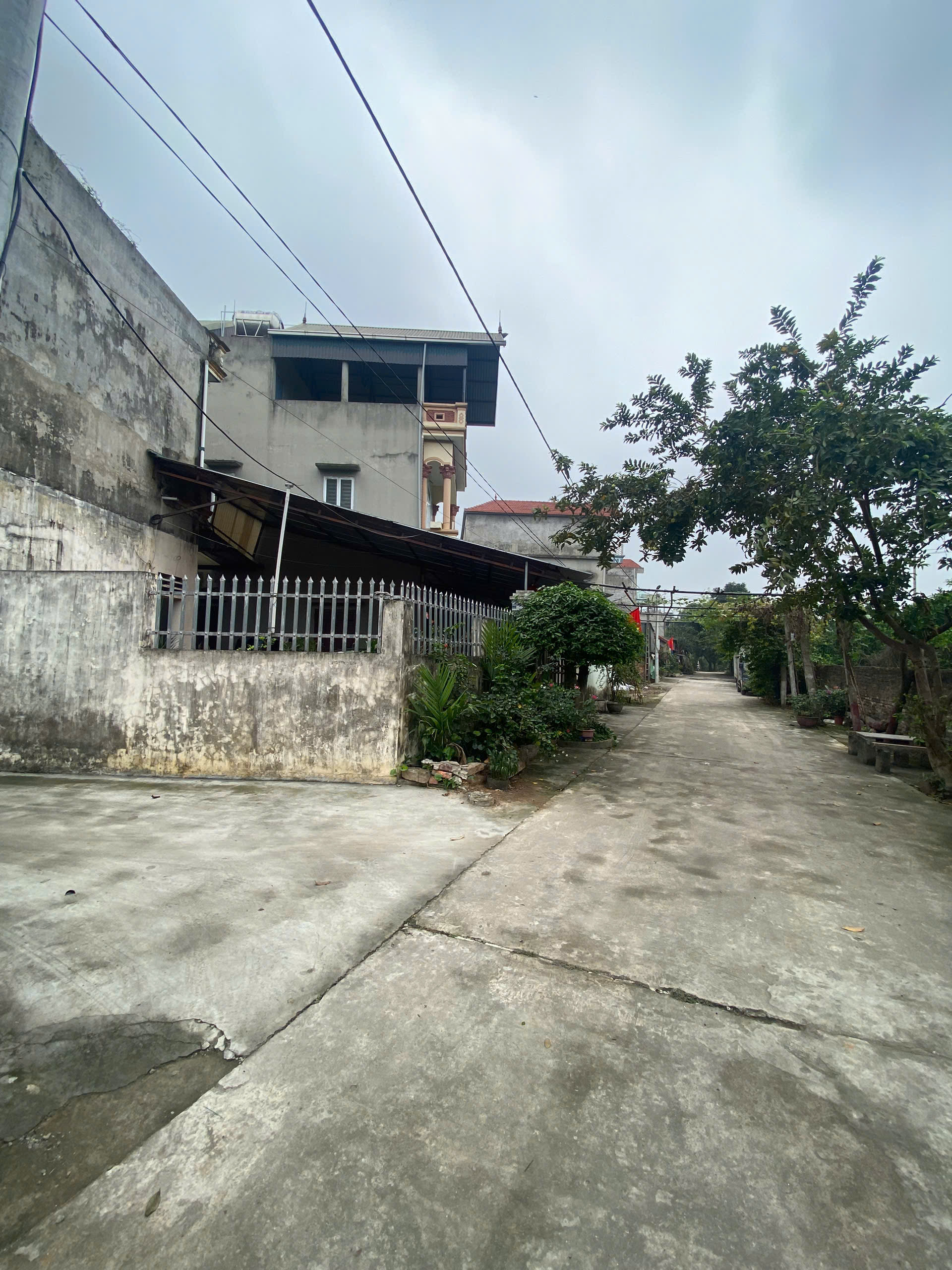 BÁN ĐẤT 95M2 LƯƠNG QUY XUÂN NỘN ĐÔNG ANH - GIÁ CỰC TỐT - Ảnh 1