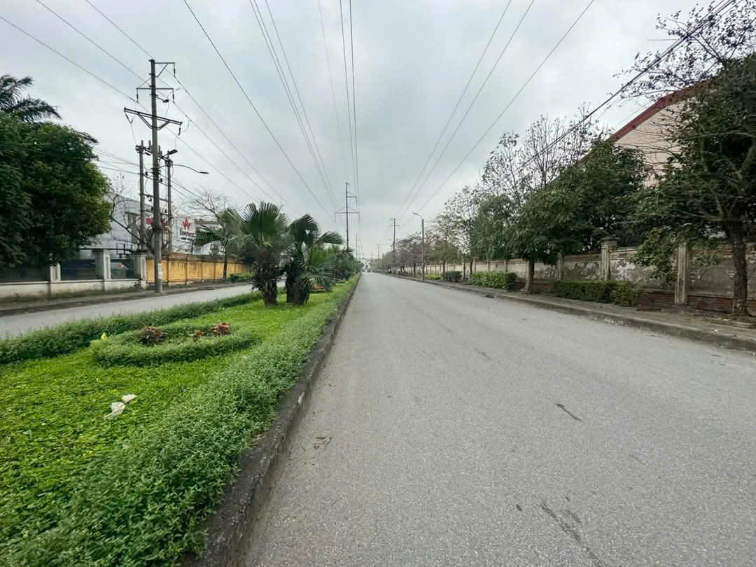 Bán kho xưởng KCN Quất Động, Thường Tín, Diện tích 2500m2, Giá 29 tỷ - Ảnh 3
