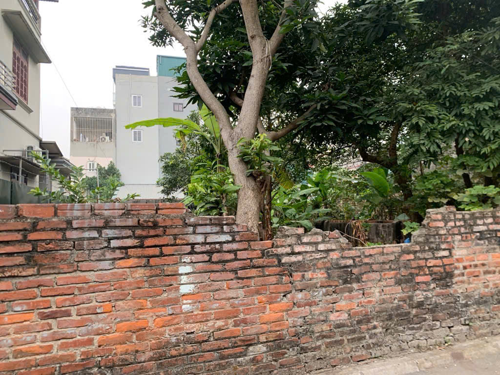 Bán đất mặt ngõ Kẻ Tạnh Giang Biên Long Biên đường oto tránh gần phố 60m mặt tiền 5m 9 tỷ - Ảnh 4