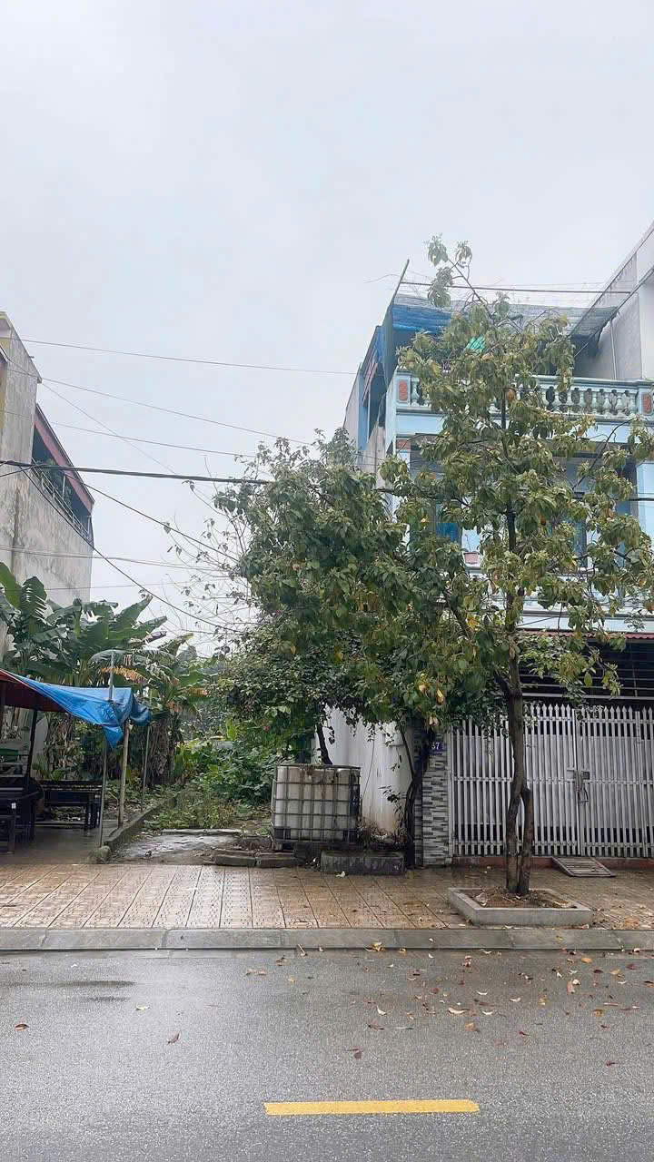 Cơ hội sở hữu lô đất vàng gần trường cấp 2 Lê Hồng Phong - Ảnh 1