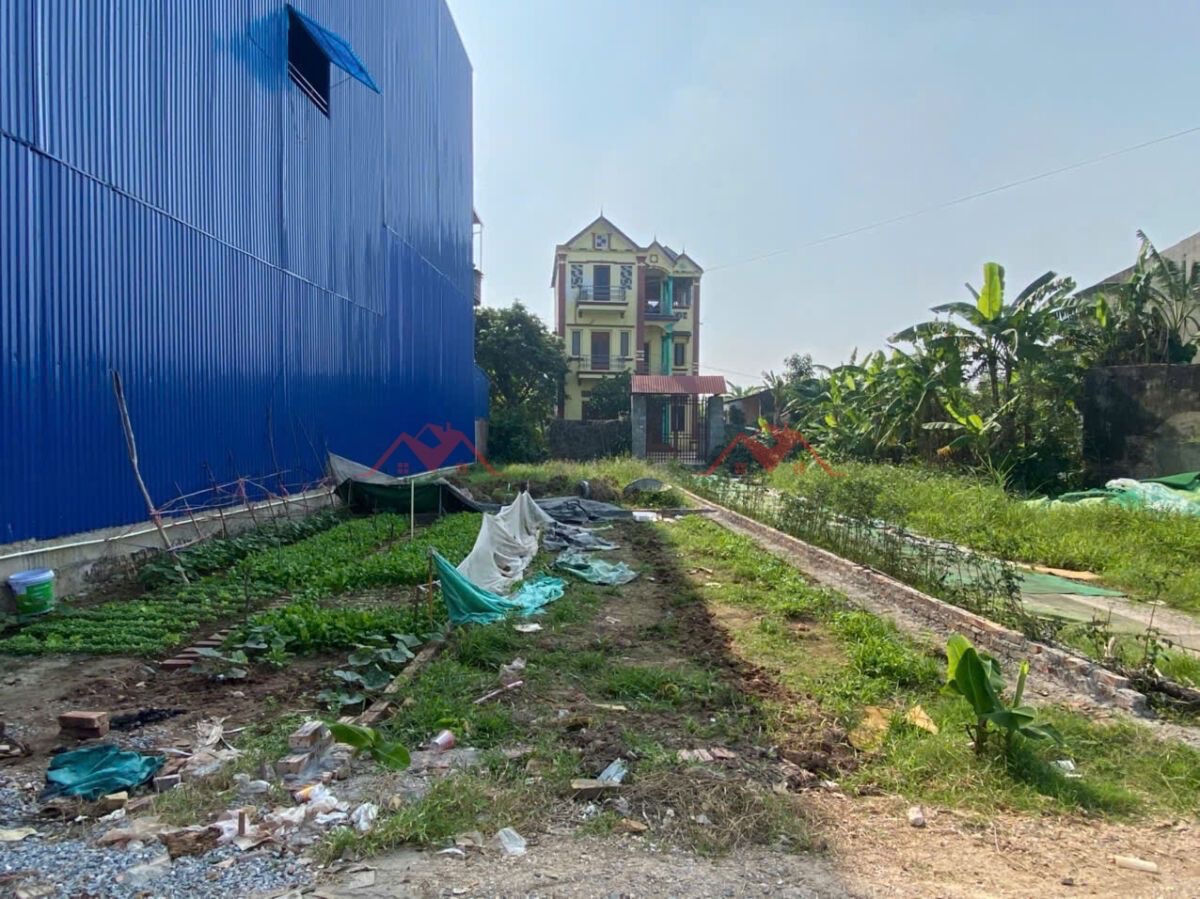CHÍNH CHỦ BÁN LÔ ĐẤT 48,7M TẠI HOÀNG DIỆU-CHƯƠNG MỸ-HÀ NỘI - Ảnh 1